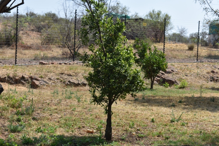 6 Bedroom Property for Sale in Bela Bela Limpopo