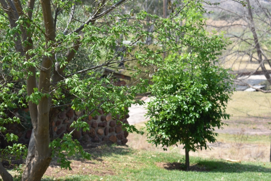 6 Bedroom Property for Sale in Bela Bela Limpopo