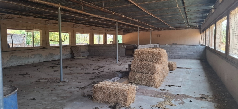6 Bedroom Property for Sale in Bela Bela Limpopo