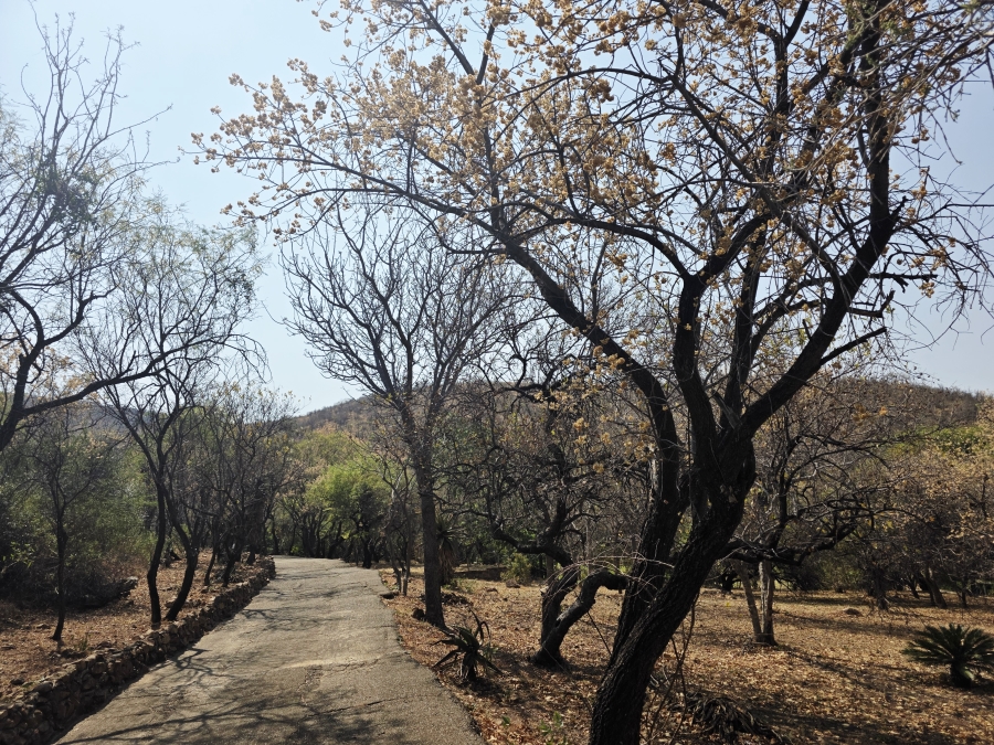 12 Bedroom Property for Sale in Bela Bela Limpopo