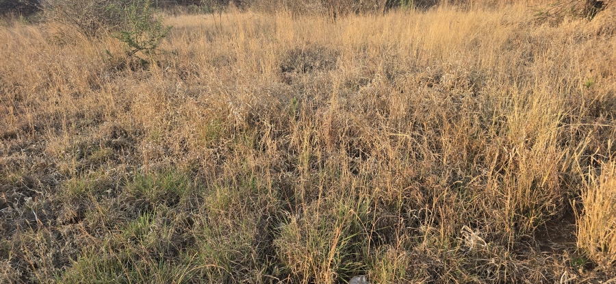 0 Bedroom Property for Sale in Serala View Limpopo