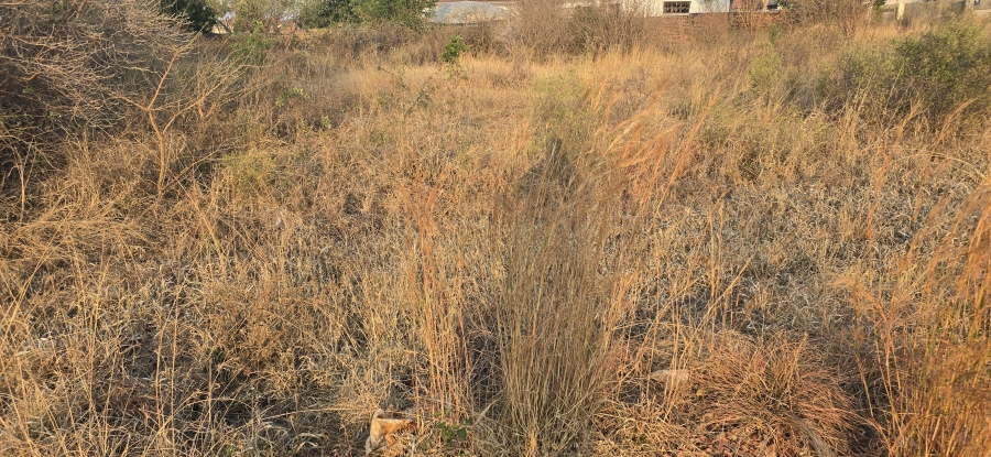 0 Bedroom Property for Sale in Serala View Limpopo