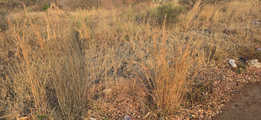 0 Bedroom Property for Sale in Serala View Limpopo