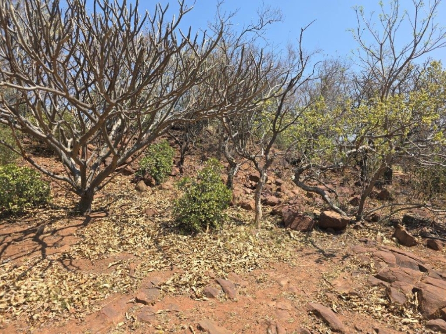 0 Bedroom Property for Sale in Bela Bela Limpopo