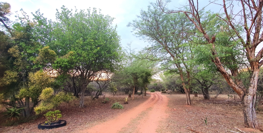 3 Bedroom Property for Sale in Modimolle Limpopo