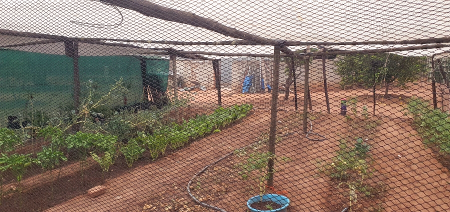 3 Bedroom Property for Sale in Modimolle Limpopo