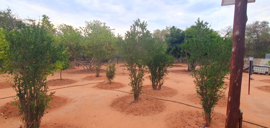 3 Bedroom Property for Sale in Modimolle Limpopo