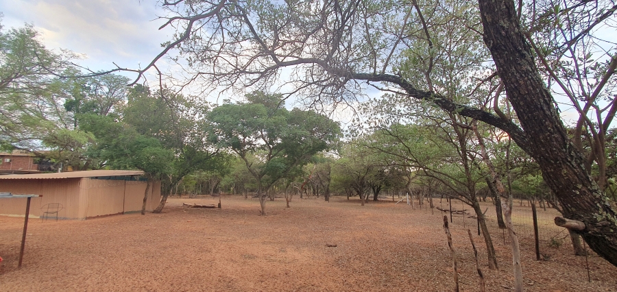 3 Bedroom Property for Sale in Modimolle Limpopo