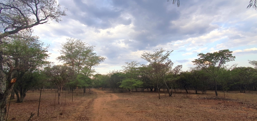 3 Bedroom Property for Sale in Modimolle Limpopo