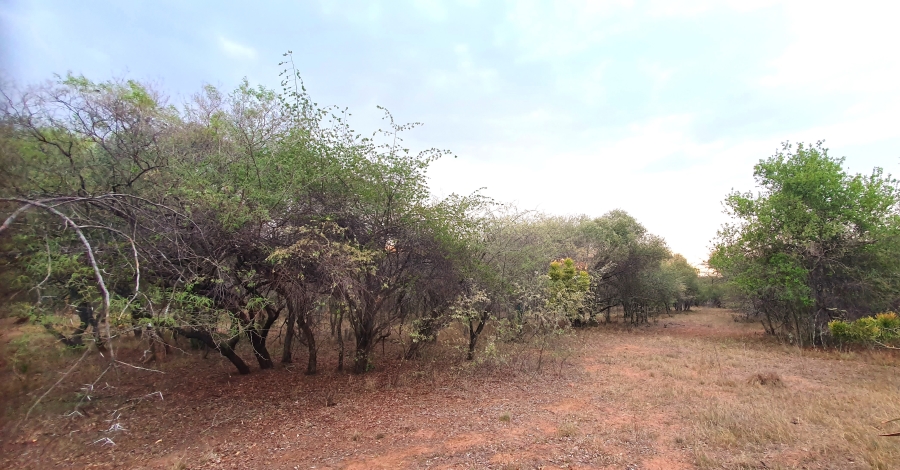 3 Bedroom Property for Sale in Modimolle Limpopo