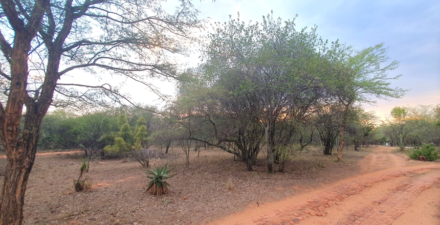 3 Bedroom Property for Sale in Modimolle Limpopo
