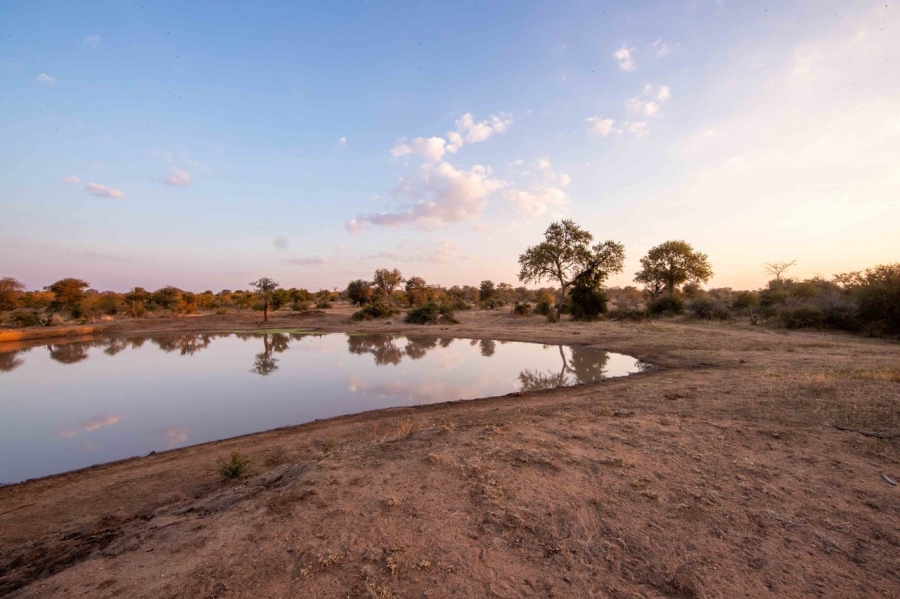 0 Bedroom Property for Sale in Hoedspruit Rural Limpopo