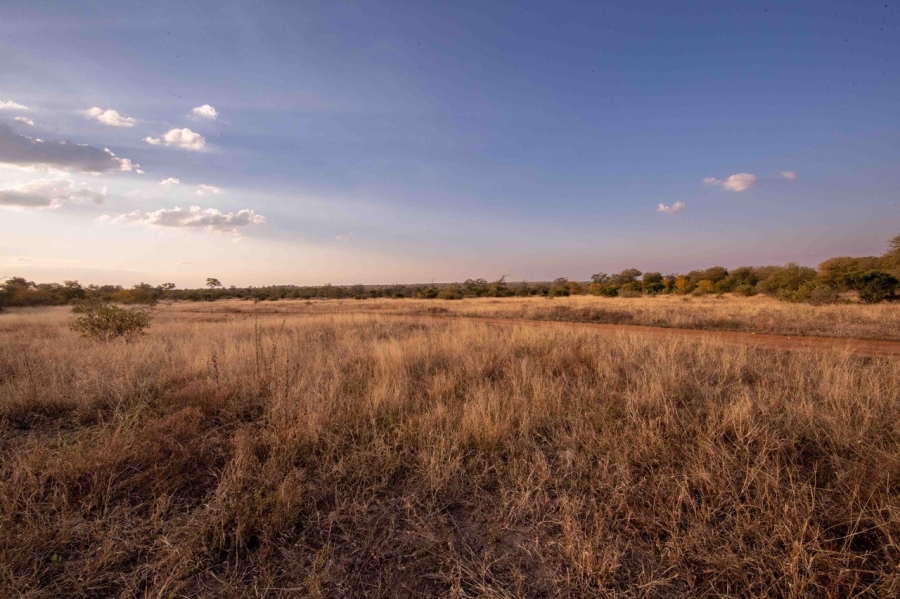 0 Bedroom Property for Sale in Hoedspruit Rural Limpopo