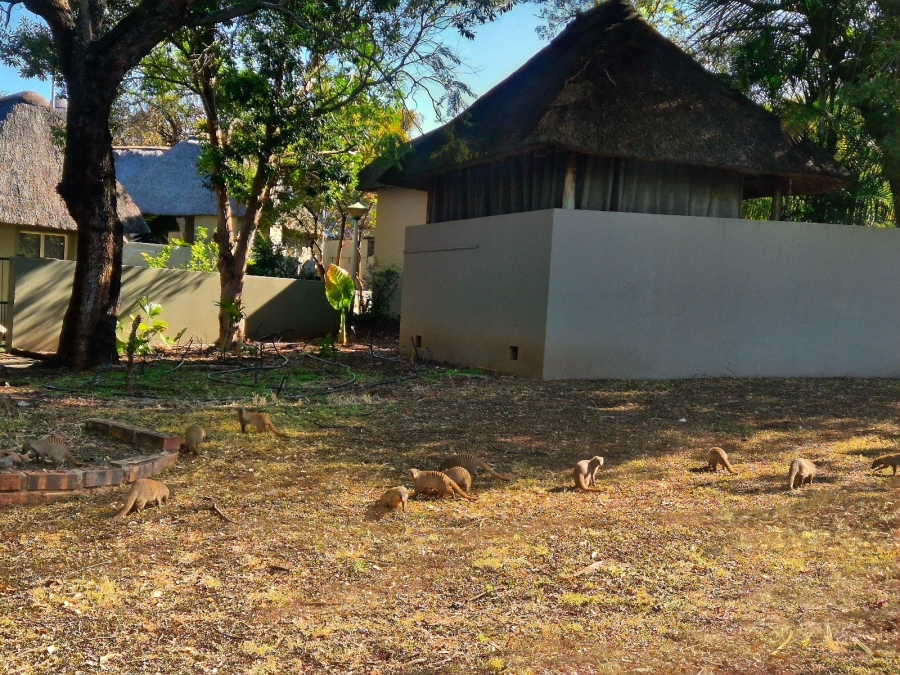 1 Bedroom Property for Sale in Mookgopong Limpopo