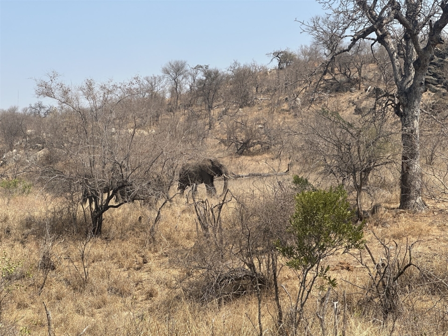 0 Bedroom Property for Sale in Parsons Game Reserve Limpopo
