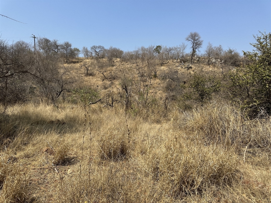 0 Bedroom Property for Sale in Parsons Game Reserve Limpopo