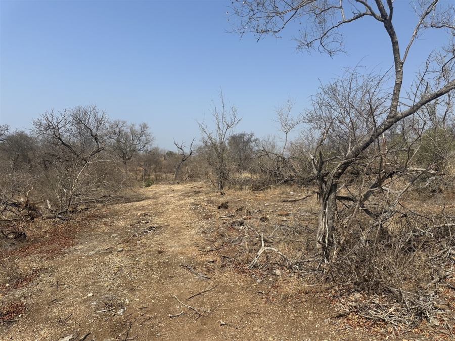 0 Bedroom Property for Sale in Parsons Game Reserve Limpopo
