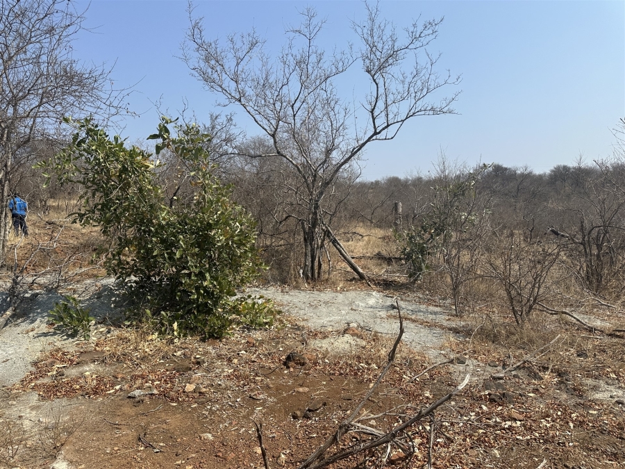 0 Bedroom Property for Sale in Parsons Game Reserve Limpopo