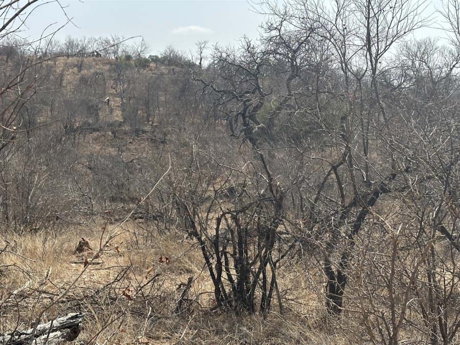 0 Bedroom Property for Sale in Parsons Game Reserve Limpopo