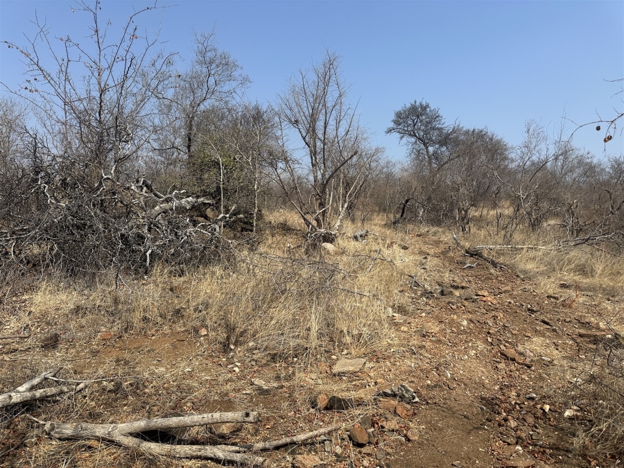 0 Bedroom Property for Sale in Parsons Game Reserve Limpopo