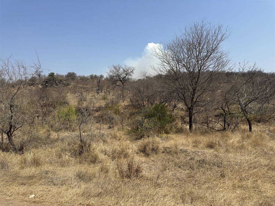 0 Bedroom Property for Sale in Parsons Game Reserve Limpopo