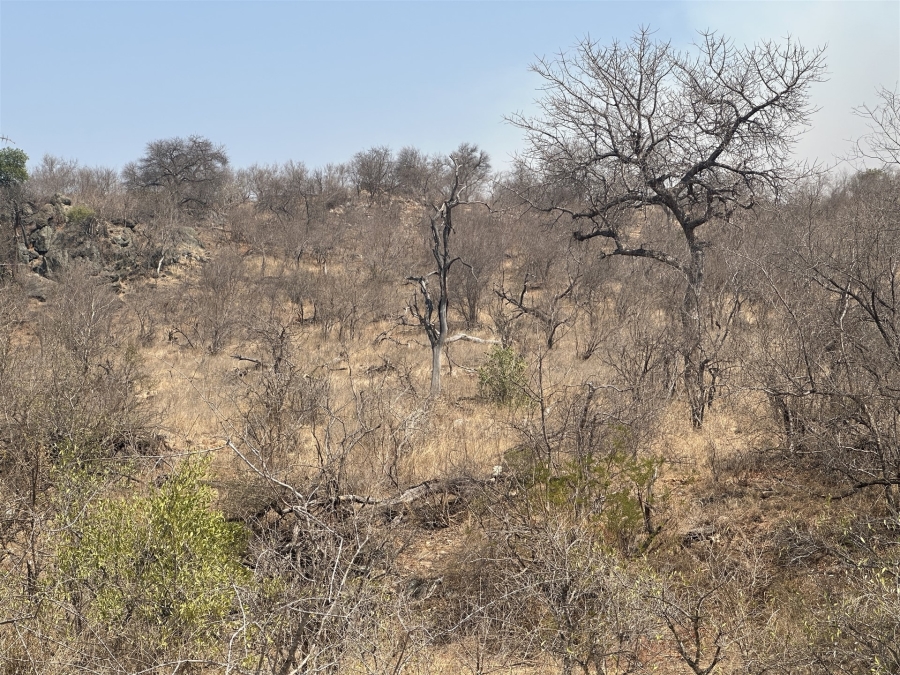 0 Bedroom Property for Sale in Parsons Game Reserve Limpopo
