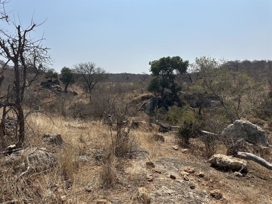 0 Bedroom Property for Sale in Parsons Game Reserve Limpopo