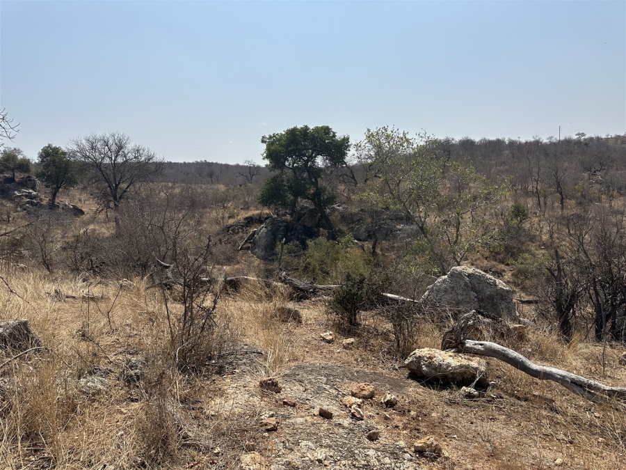 0 Bedroom Property for Sale in Parsons Game Reserve Limpopo
