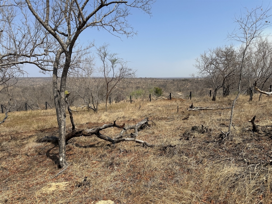 0 Bedroom Property for Sale in Parsons Game Reserve Limpopo