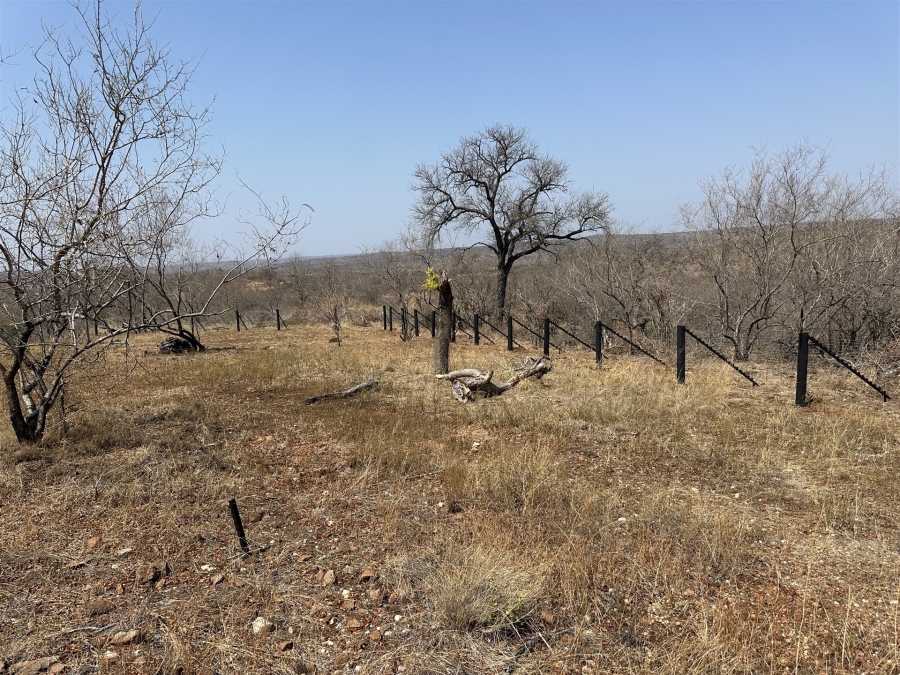 0 Bedroom Property for Sale in Parsons Game Reserve Limpopo