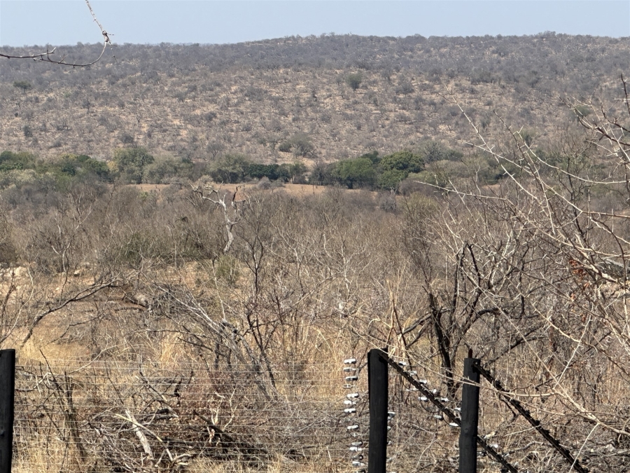 0 Bedroom Property for Sale in Parsons Game Reserve Limpopo