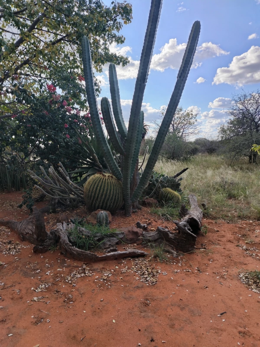 5 Bedroom Property for Sale in Tom Burke Limpopo