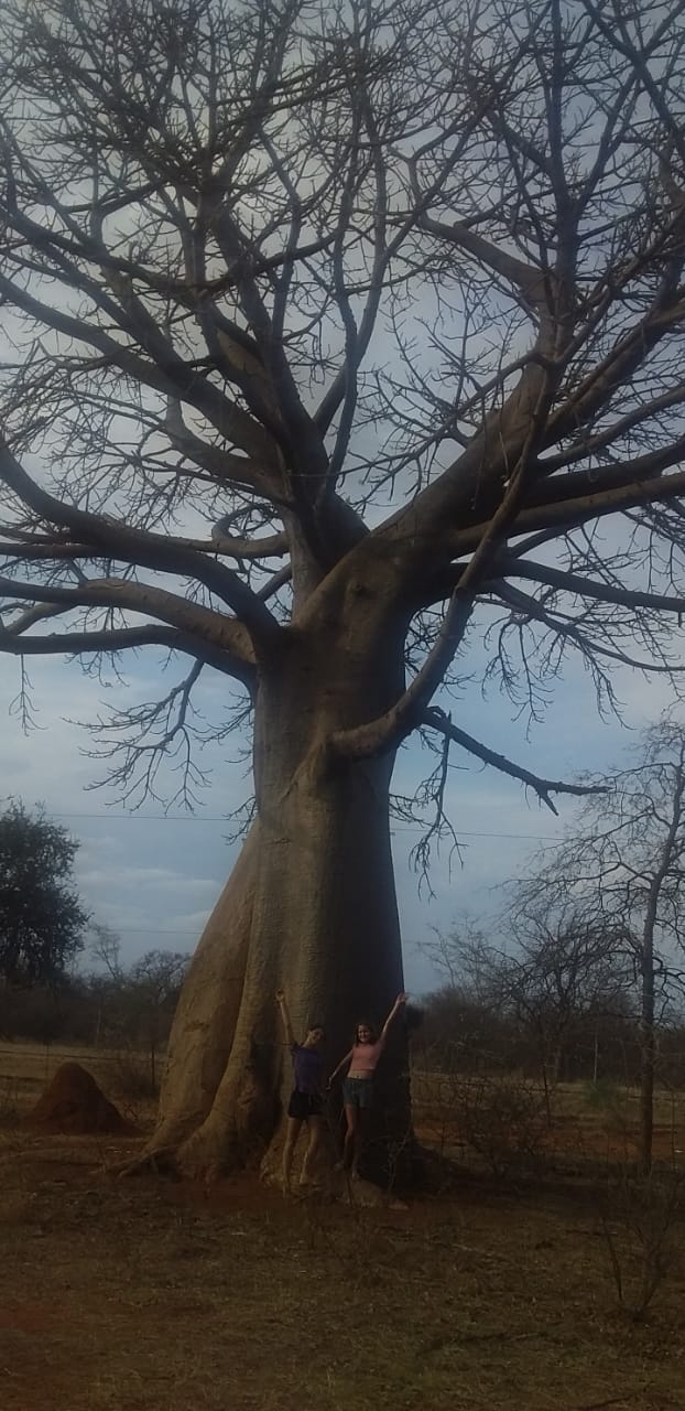 5 Bedroom Property for Sale in Tom Burke Limpopo