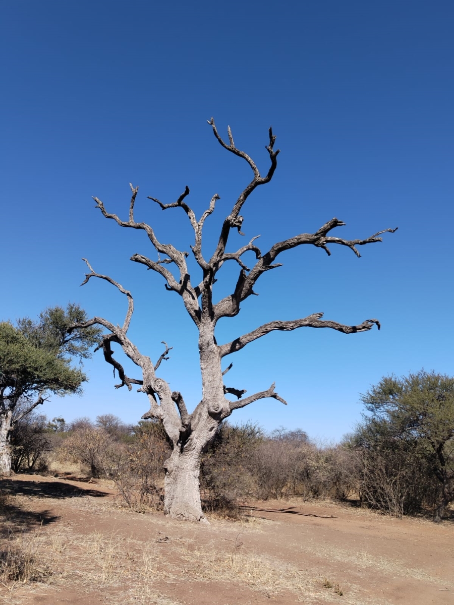 5 Bedroom Property for Sale in Tom Burke Limpopo