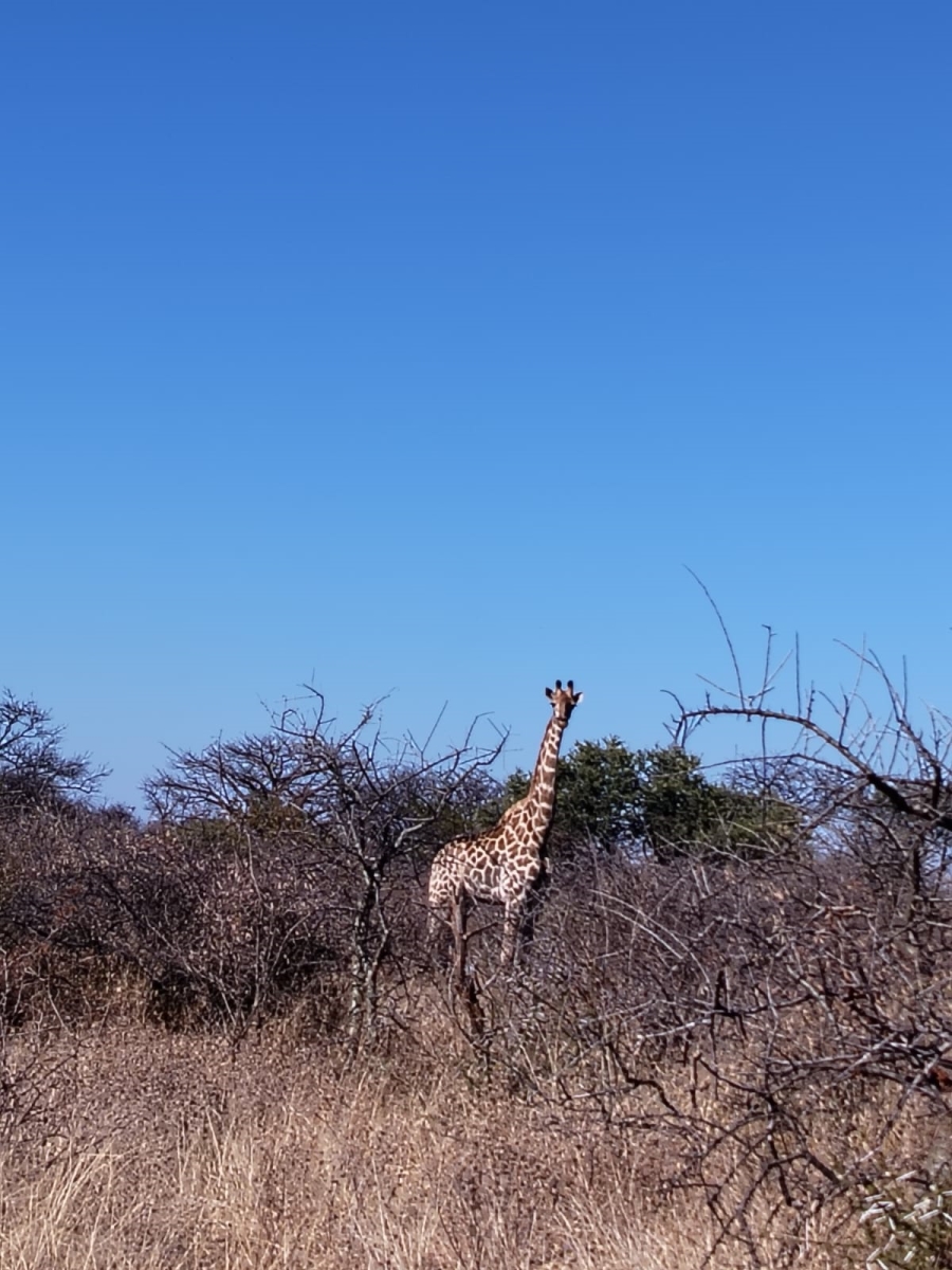 5 Bedroom Property for Sale in Tom Burke Limpopo