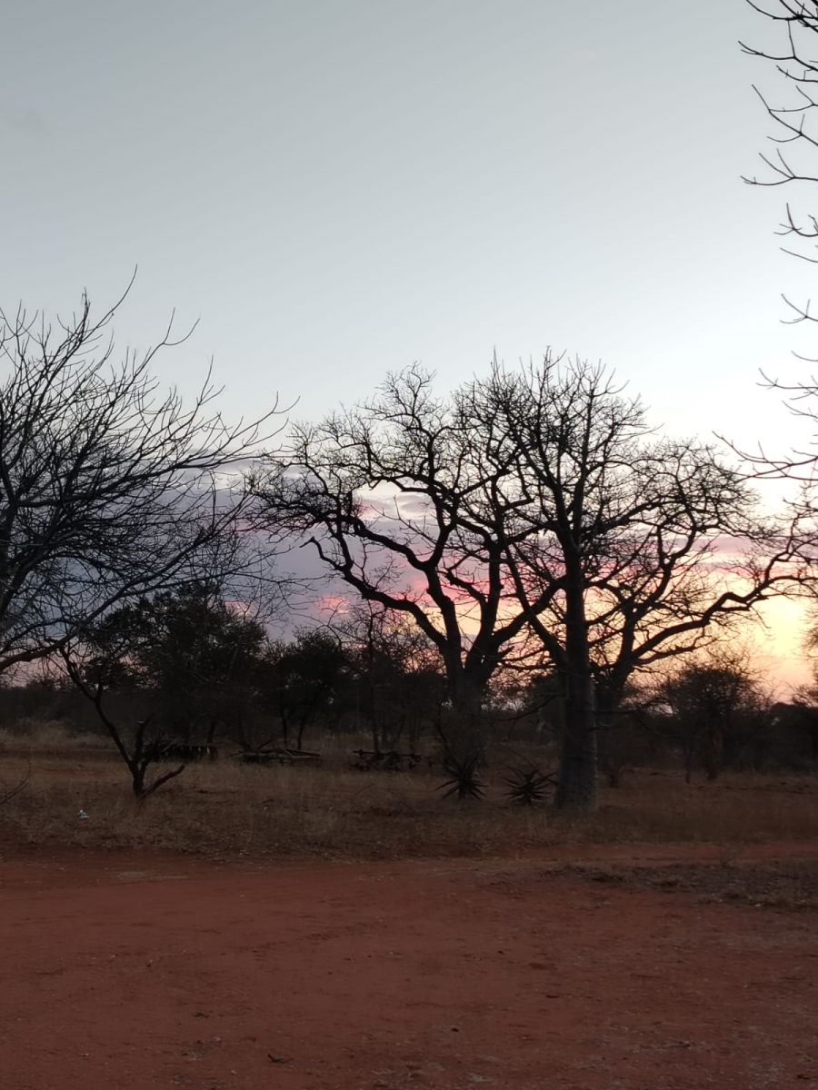 5 Bedroom Property for Sale in Tom Burke Limpopo