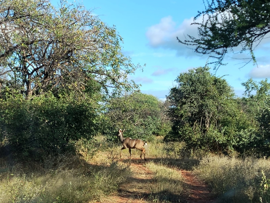 5 Bedroom Property for Sale in Tom Burke Limpopo