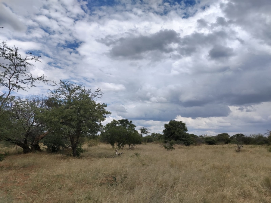 5 Bedroom Property for Sale in Tom Burke Limpopo