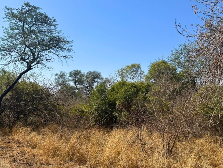 0 Bedroom Property for Sale in Kampersrus Limpopo