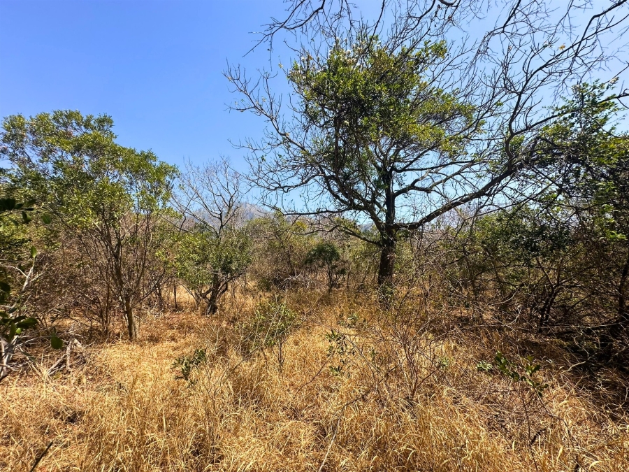 0 Bedroom Property for Sale in Kampersrus Limpopo