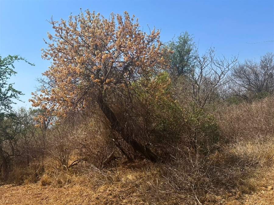0 Bedroom Property for Sale in Kampersrus Limpopo