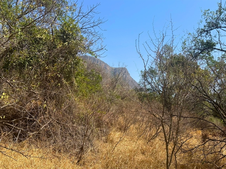 0 Bedroom Property for Sale in Kampersrus Limpopo
