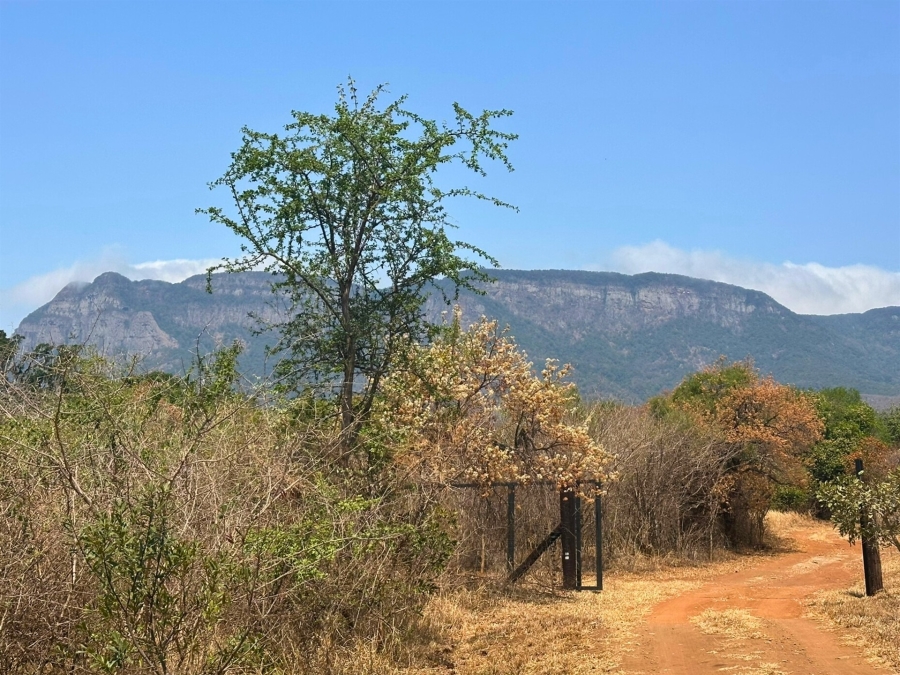 0 Bedroom Property for Sale in Kampersrus Limpopo