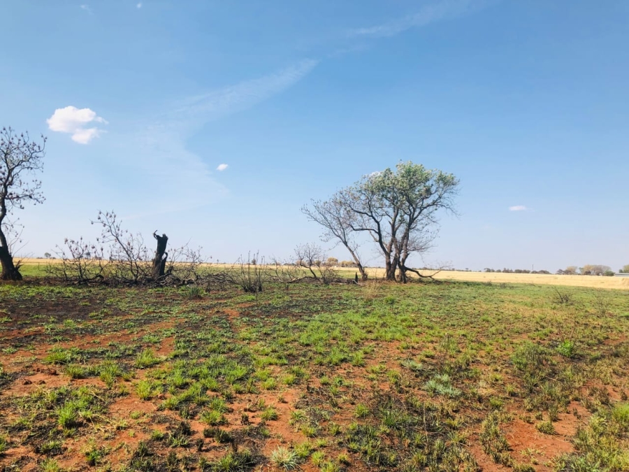 0 Bedroom Property for Sale in Bela Bela Limpopo