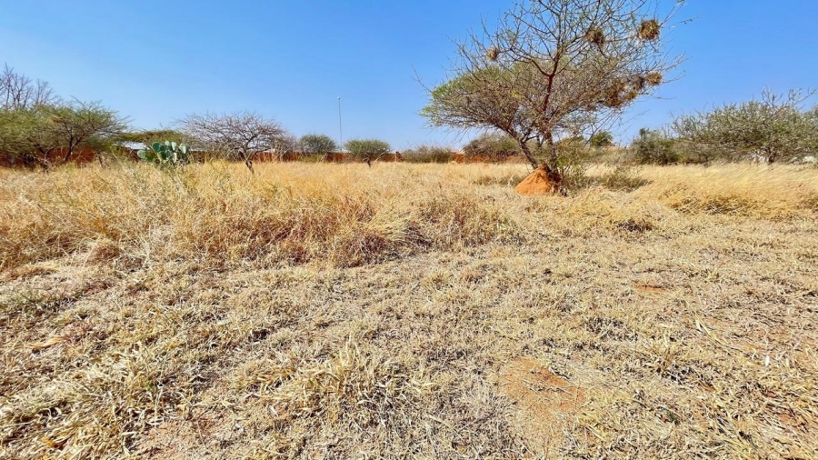 0 Bedroom Property for Sale in Bendor Limpopo