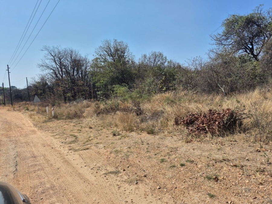 0 Bedroom Property for Sale in Phalaborwa Limpopo