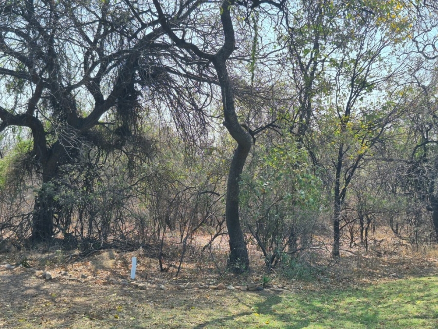0 Bedroom Property for Sale in Phalaborwa Limpopo