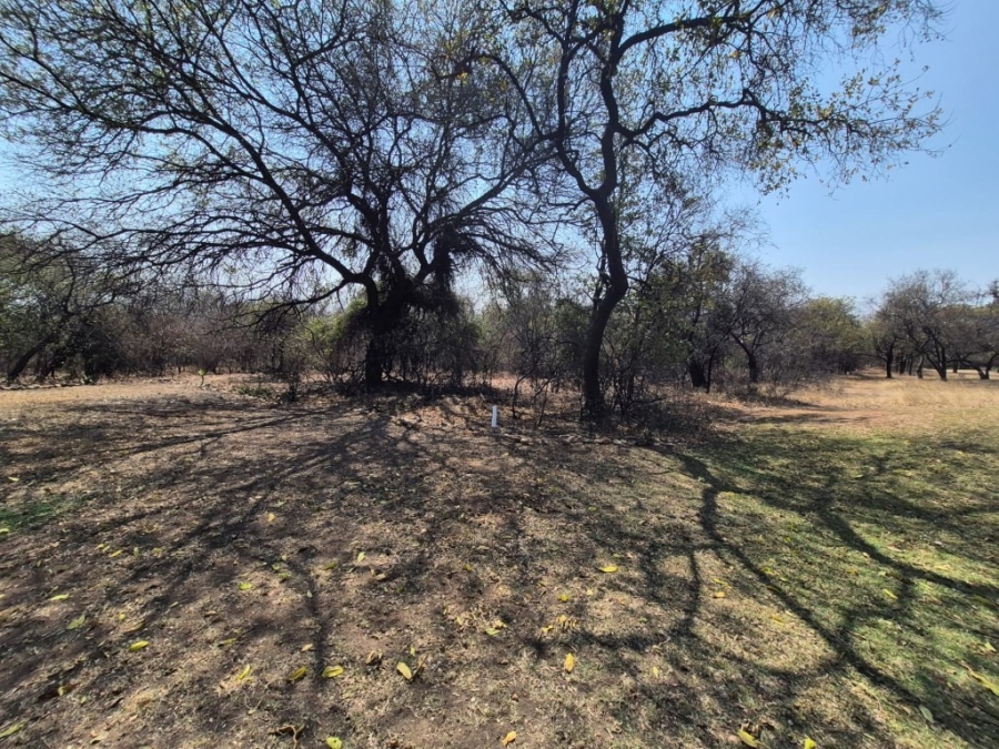 0 Bedroom Property for Sale in Phalaborwa Limpopo