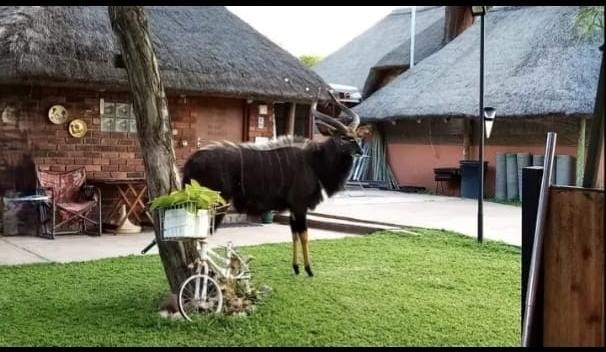 6 Bedroom Property for Sale in Driefontein AH Limpopo