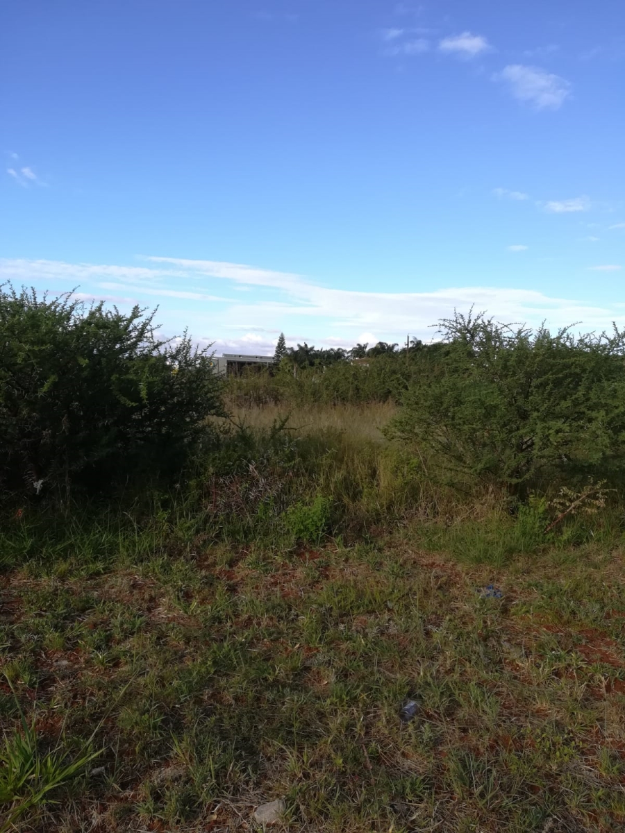 0 Bedroom Property for Sale in Sterpark Limpopo